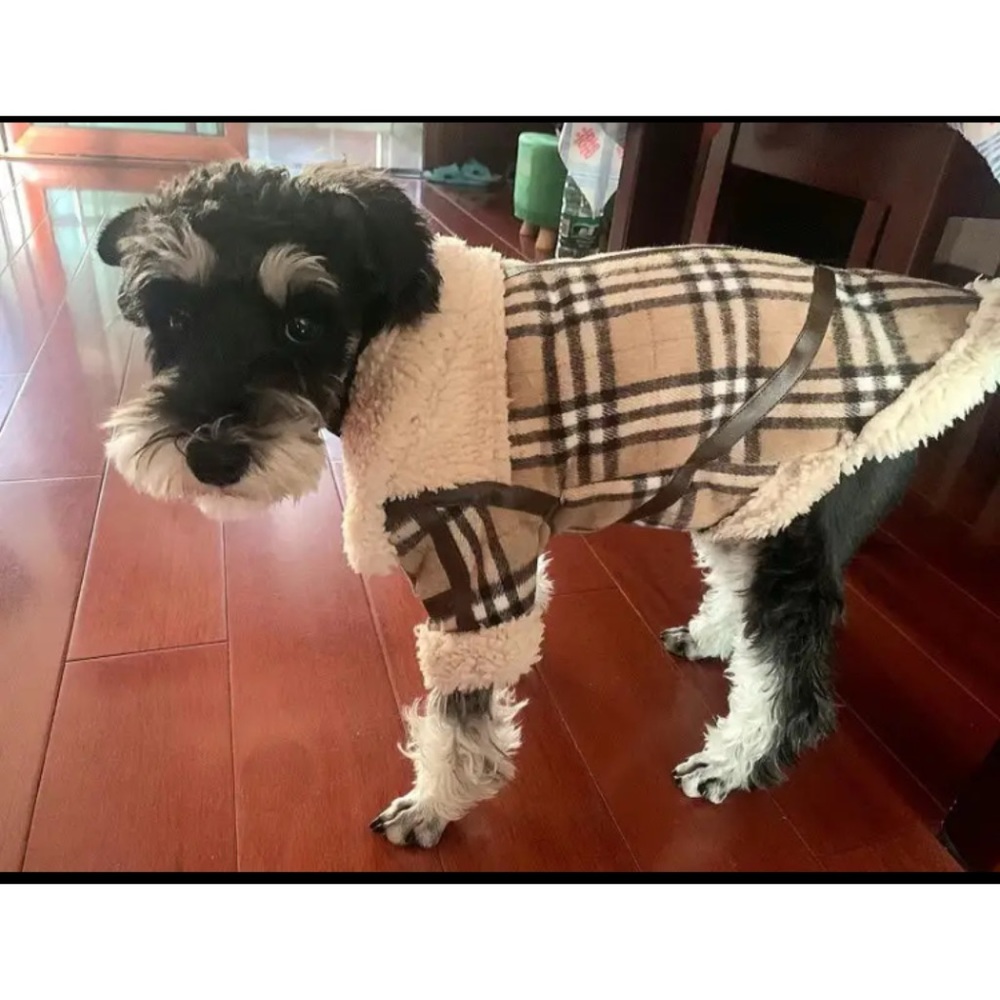 2xHP✨Beautiful and Fashionable Winter Dog Coat in XL